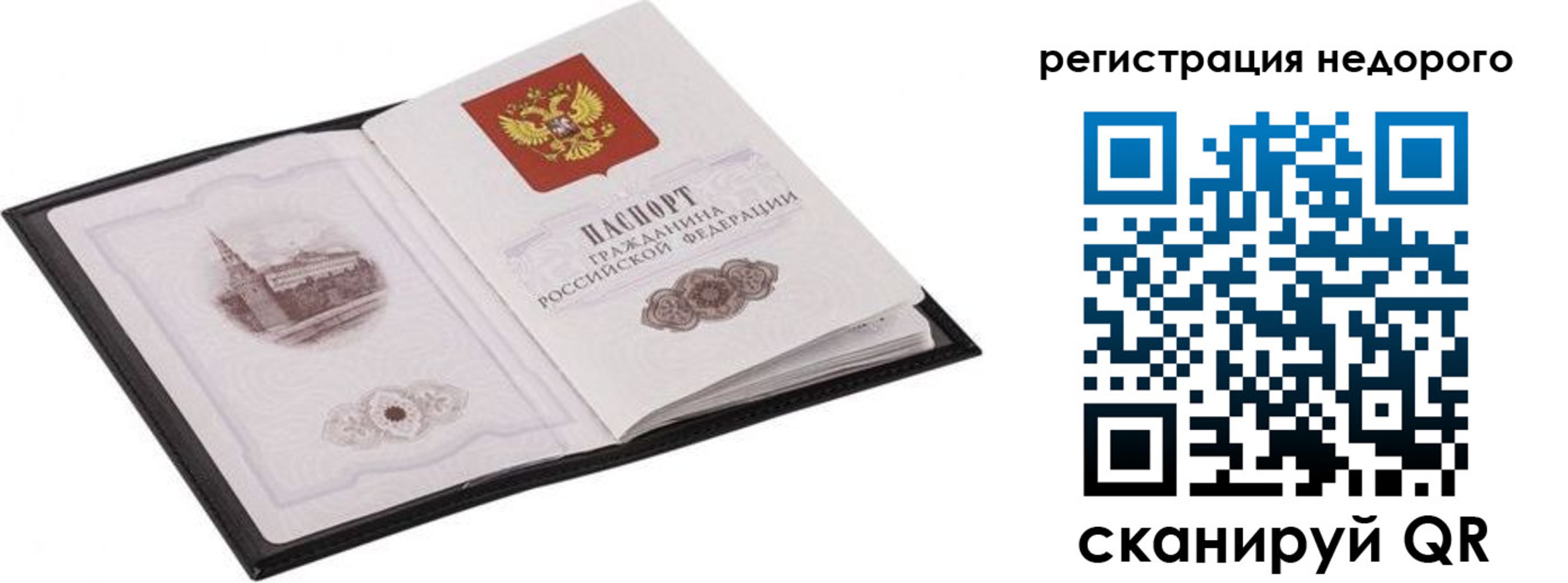 прописка регистрация в Кингисеппе